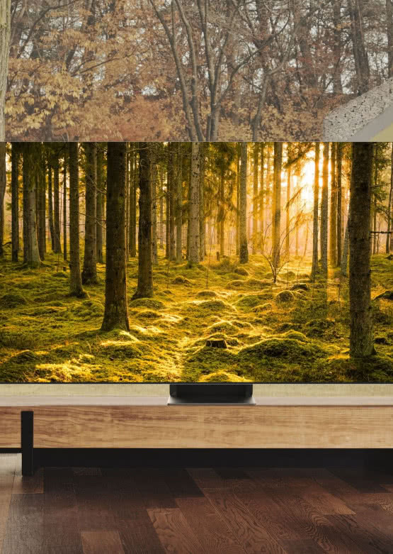 Telewizory Samsung Excellence Line - obraz i dźwięk klasy premium