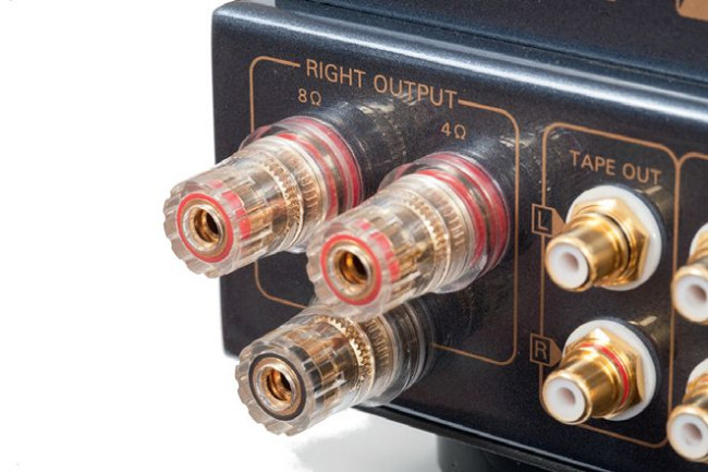Wyjścia głośnikowe to dwie pary odczepów skalibrowane dla obciążeń nominalnie 4 i 8 Ω.