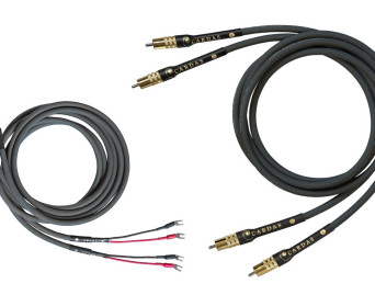 Przewód głośnikowy i interkonekt Cardas Iridium