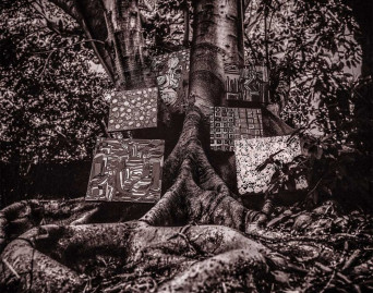 Harmony of Difference