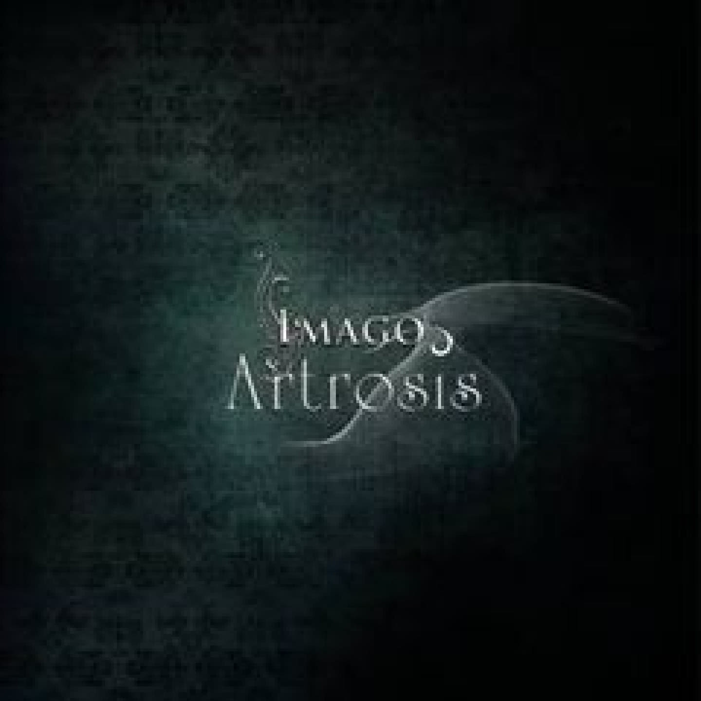 Imago