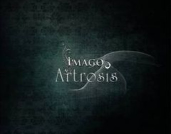 Imago
