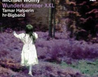 Wunderkammer XXL