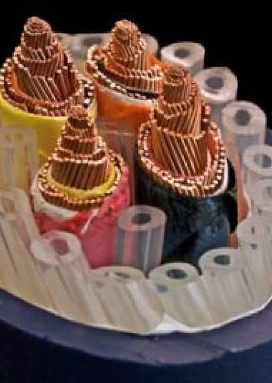 Kable Cardas Audio w Voice