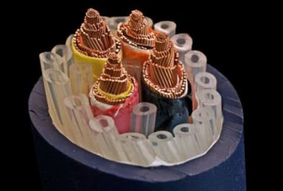 Kable Cardas Audio w Voice