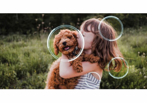 Trzy miesiące dostępu do MEGOGO przy zakupie telewizora lub projektora Samsung