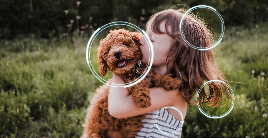 Trzy miesiące dostępu do MEGOGO przy zakupie telewizora lub projektora Samsung