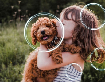 Trzy miesiące dostępu do MEGOGO przy zakupie telewizora lub projektora Samsung