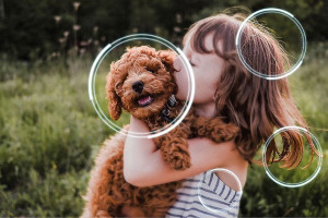 Trzy miesiące dostępu do MEGOGO przy zakupie telewizora lub projektora Samsung