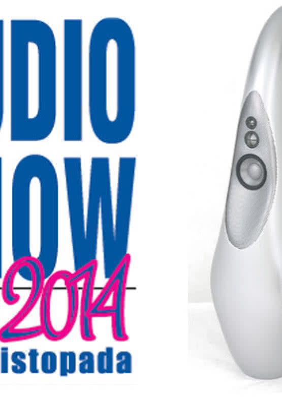 Audio Show 2014. Terapia kolejką