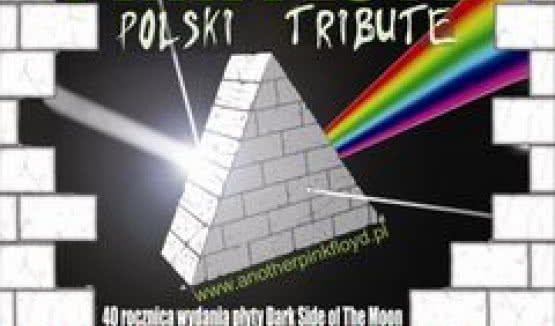 Another Pink Floyd w Krakowie