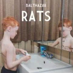 Rats