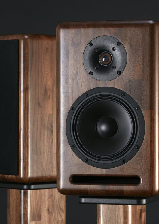 Monitory Xavian Ambra