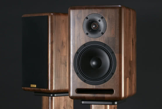 Monitory Xavian Ambra