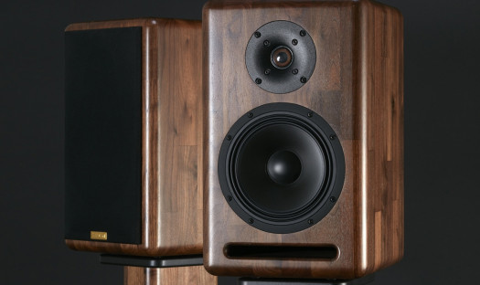 Monitory Xavian Ambra