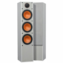 Monitor 300