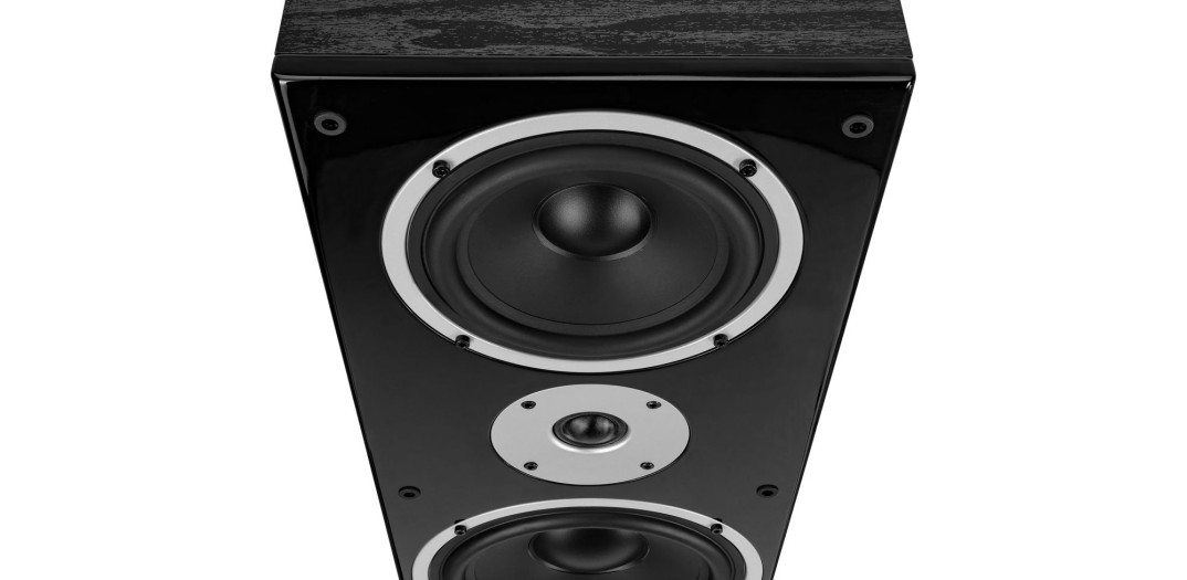 Nowa kolumna podłogowa Wilson Raptor 9 Max