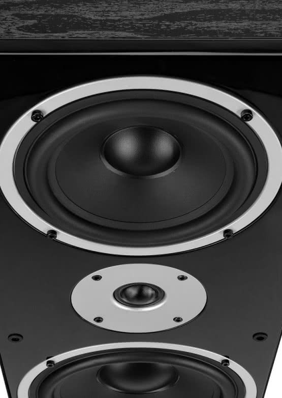 Nowa kolumna podłogowa Wilson Raptor 9 Max