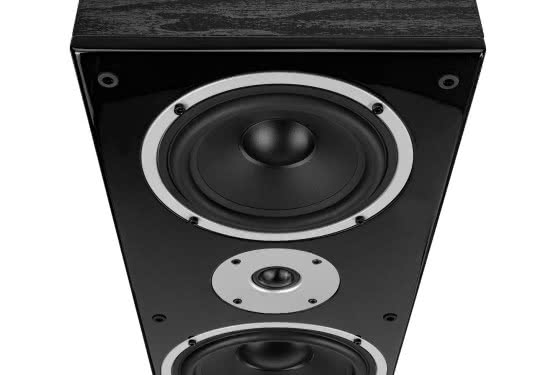 Nowa kolumna podłogowa Wilson Raptor 9 Max