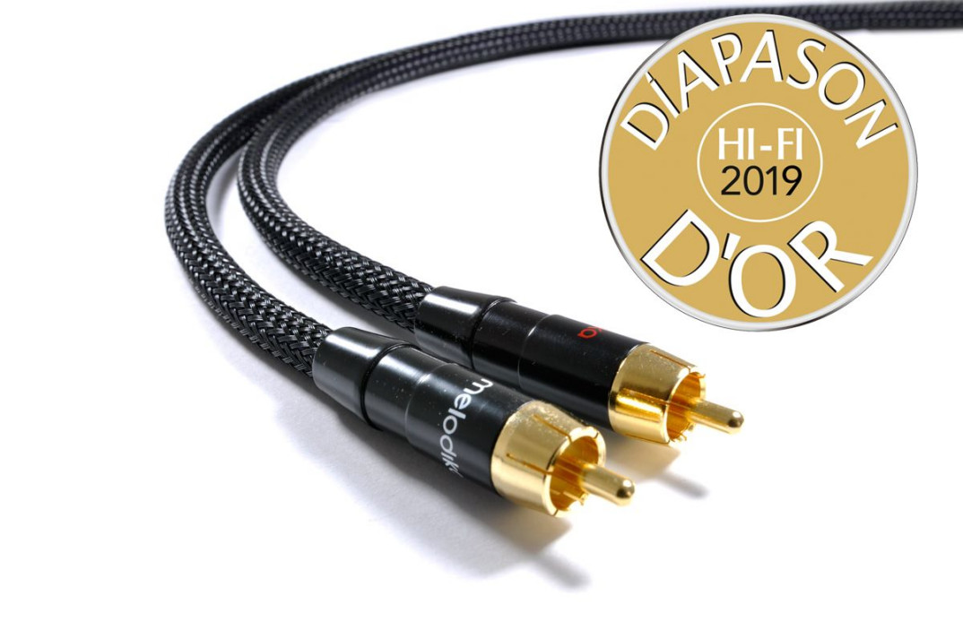 Melodika ze złotym Diapasonem