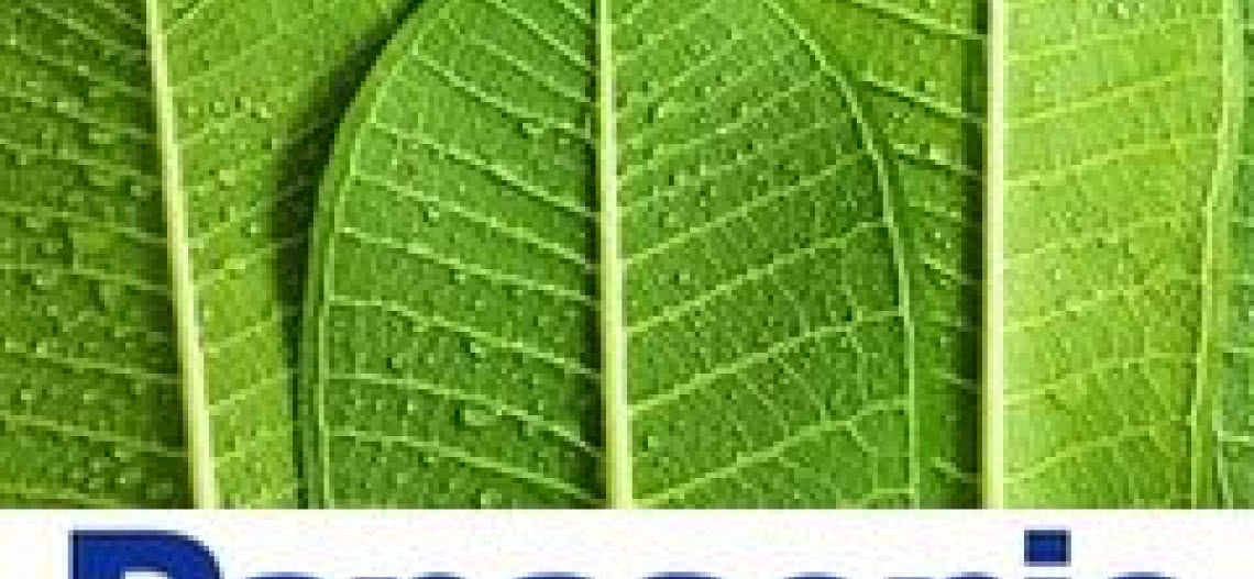 Panasonic tworzy eko fabrykę