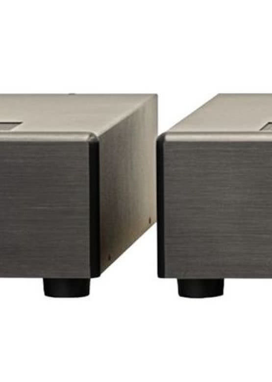 Nowość Rogue Audio - DragoN Monoblocks