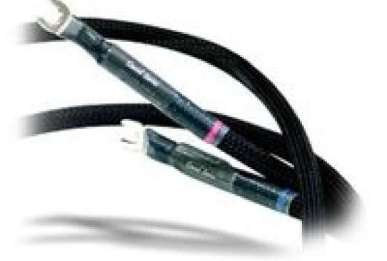 David Series 2.0 taniej w ofercie Audio Forte