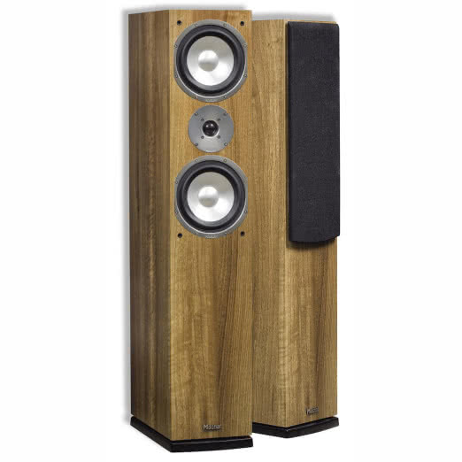 Quantum 555