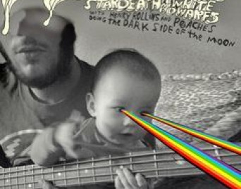 The Dark Side Of The Moon