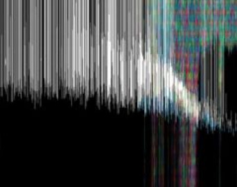 The Flaming Lips And Heady Fwends