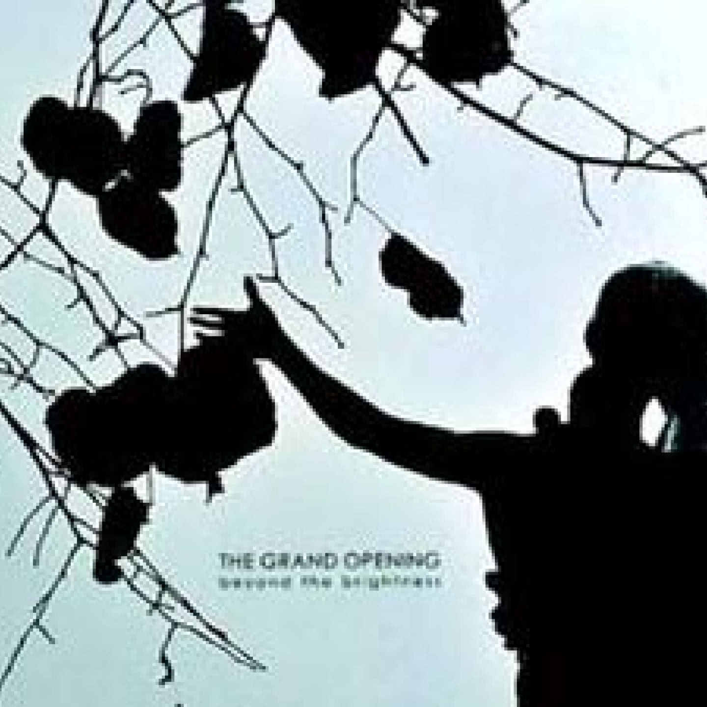 Beyond The Brightness