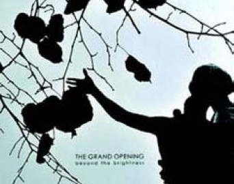 Beyond The Brightness