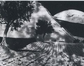 Gesualdo: Quinto Libro di Madrigali