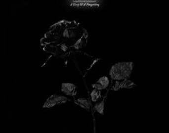 A Sleep &amp; A Forgetting