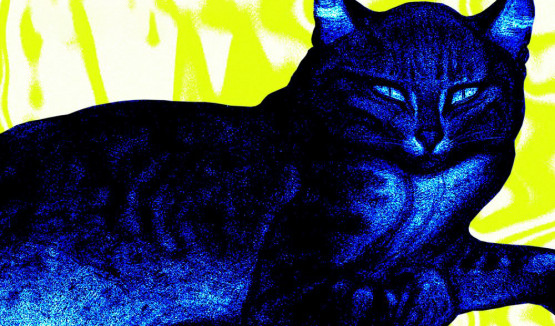 "Kattorna" - Rodziewicz i Urszula Dudziak w utworze Krzysztofa Komedy