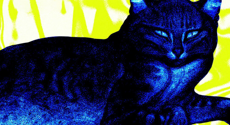 "Kattorna" - Rodziewicz i Urszula Dudziak w utworze Krzysztofa Komedy