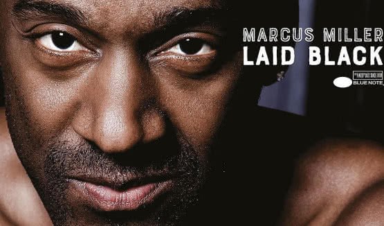 Marcus Miller w Polsce w ramach trasy Laid Back Tour