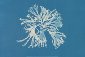 Calmness and Unisono