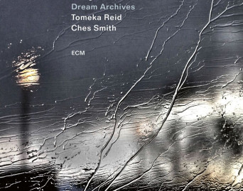 Dream Archives