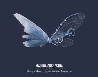 Maluba Orchestra