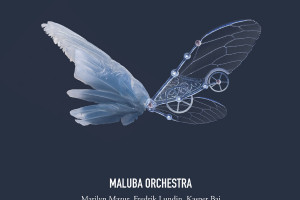Maluba Orchestra