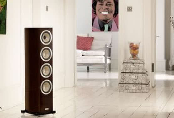 Salon Q21 referencyjnym, wyłączymy dealerem marki TANNOY w województwie łódzkim