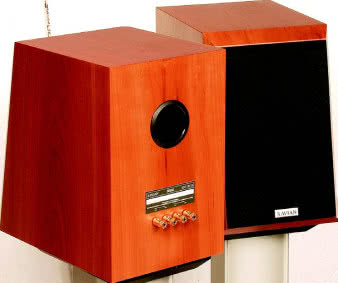 Zaciski przyłączeniowe zainstalowano dość nietypowo - w jednym szeregu, i bezpośrednio w tylnej ściance. Ale można się przyzwyczaić, tym bardziej że zaciski są złocone.