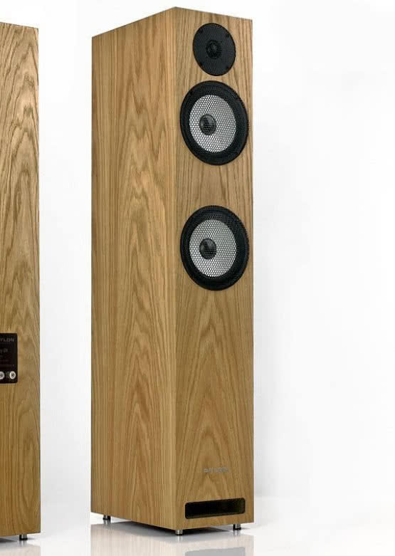 Pylon Audio Ruby 25 MKII w Q21