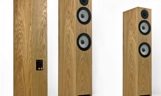 Pylon Audio Ruby 25 MKII w Q21