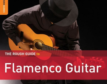 The Rough Guide To Flamenco Guitar