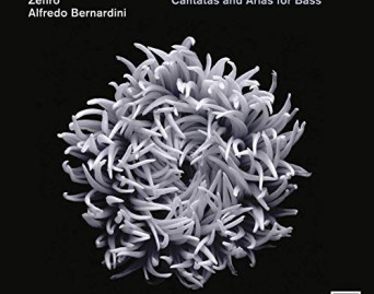 Bach: Cantatas and Arias for Bass