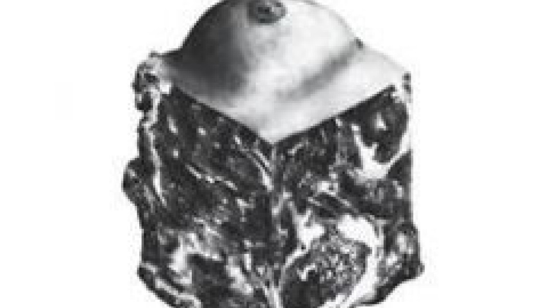 "Black Me Out" - nowy utwór Against Me!