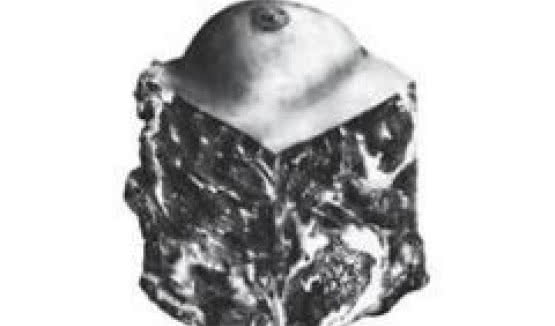 "Black Me Out" - nowy utwór Against Me!