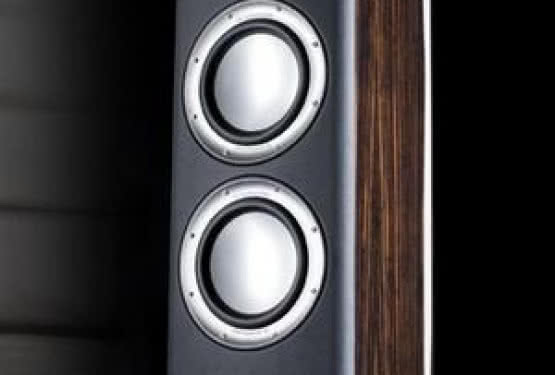 Platynowe Monitor Audio